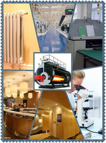 山東廠家長(zhǎng)期供應(yīng)進(jìn)口燃燒器及2噸燃?xì)庹羝仩t，提供全面技術(shù)咨詢(xún)