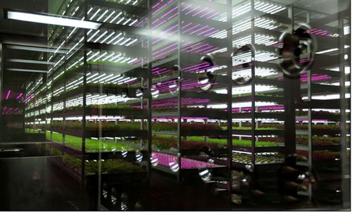 科技賦能，綠色未來(lái) 2018中國(guó)國(guó)際植物工廠及農(nóng)業(yè)照明博覽會(huì)即將在滬開(kāi)幕