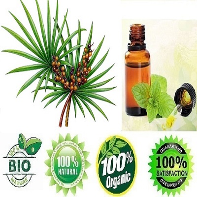 聚焦垂穗藍本酯出口 95%高含量劍柏果提取物在植物油中的應用與價值